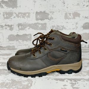 Timberland MADDSEN Waterproof Dark Brown Hiking Boots T126